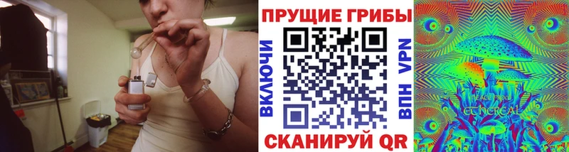 Псилоцибиновые грибы GOLDEN TEACHER  что такое   Ардон 