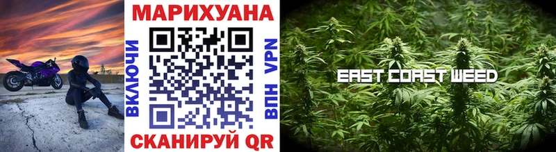 Канабис сатива  где найти наркотики  Ардон 